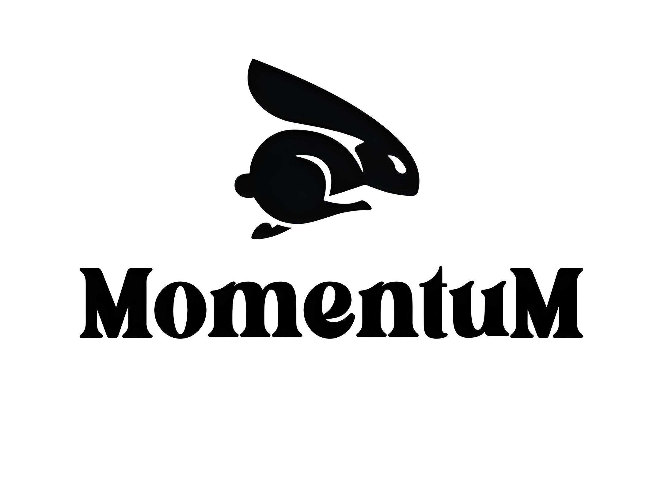 Logo Momentum